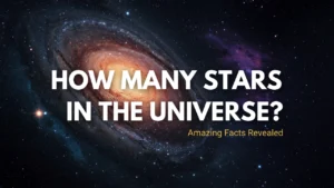 How Many Stars Are in the Universe